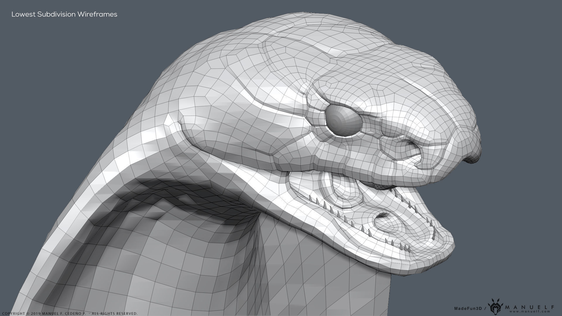 King Cobra Snake - Highpoly Sculpture 3D model_26