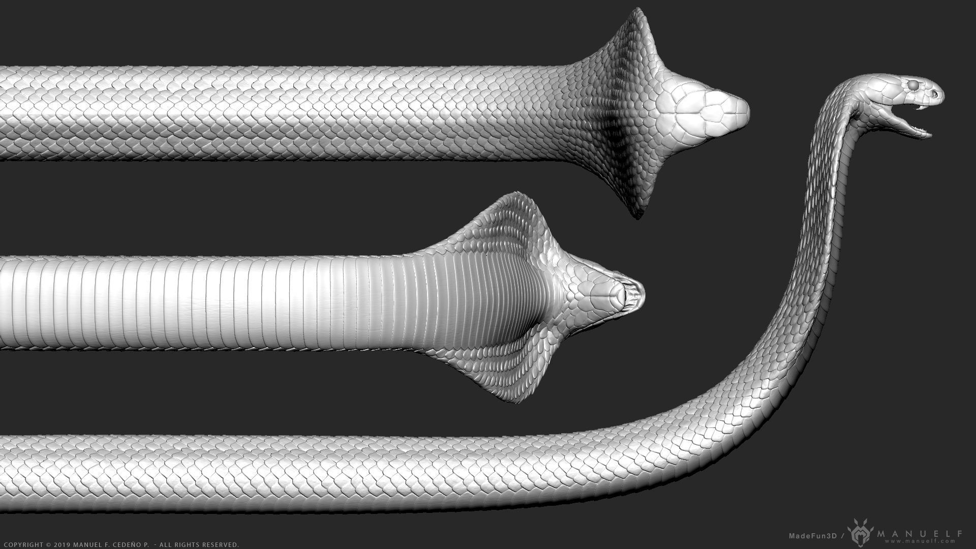 King Cobra Snake - Highpoly Sculpture 3D model_6
