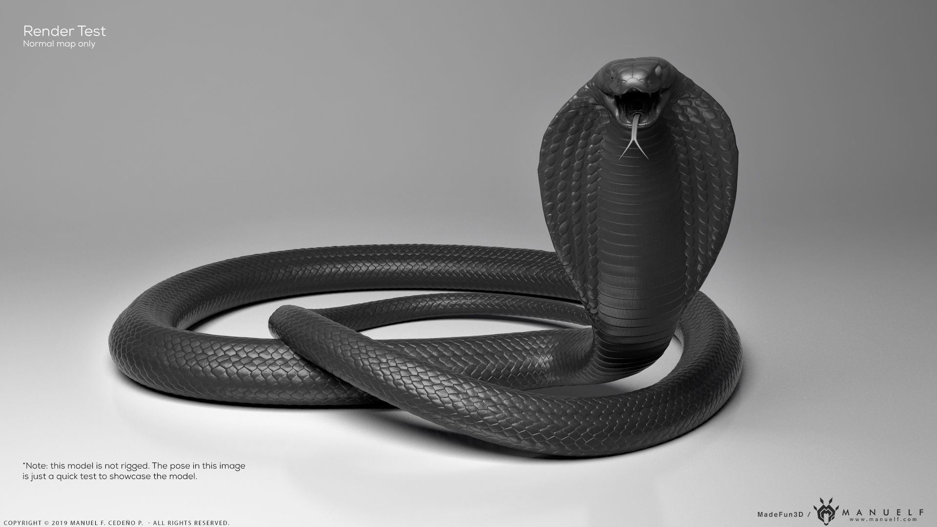 King Cobra Snake - Highpoly Sculpture 3D model_34