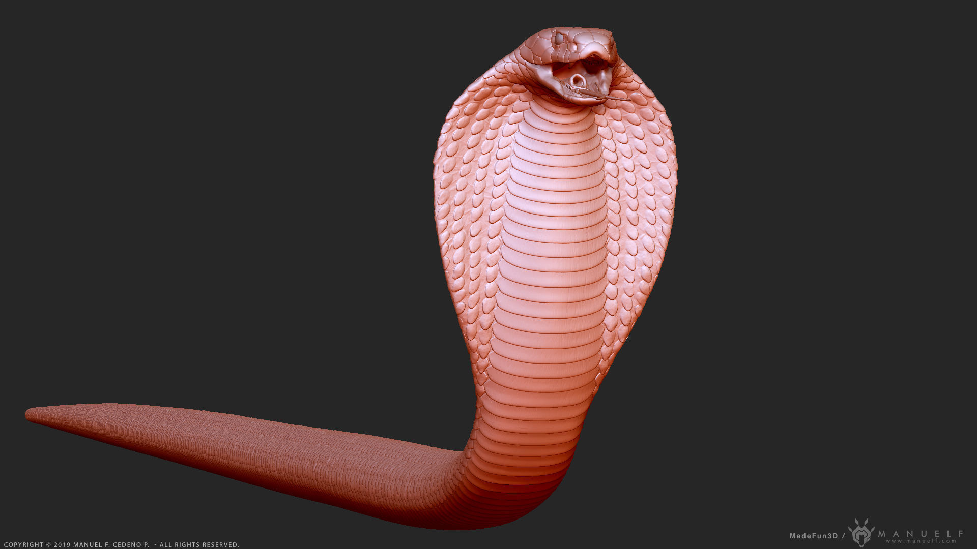 King Cobra Snake - Highpoly Sculpture 3D model_3