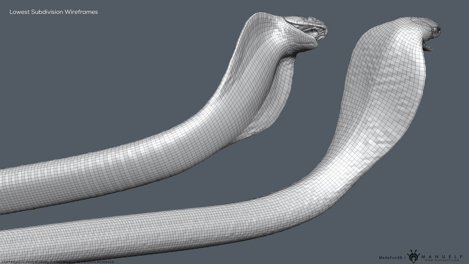 King Cobra Snake - Highpoly Sculpture 3D model_30