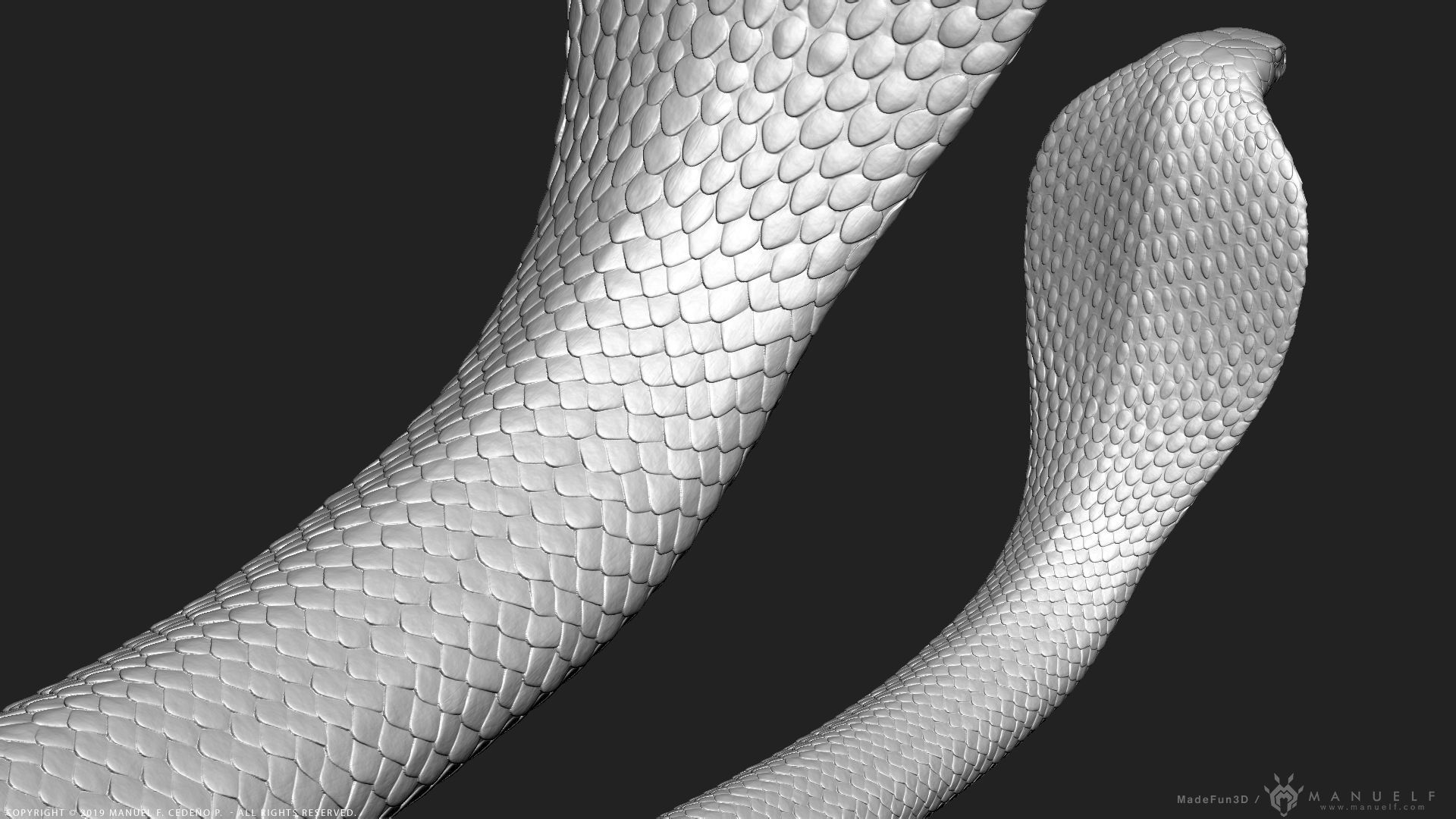 King Cobra Snake - Highpoly Sculpture 3D model_12