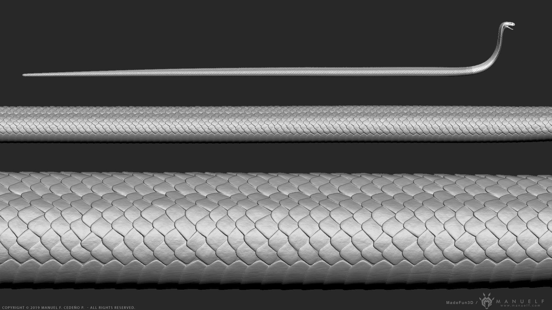 King Cobra Snake - Highpoly Sculpture 3D model_16