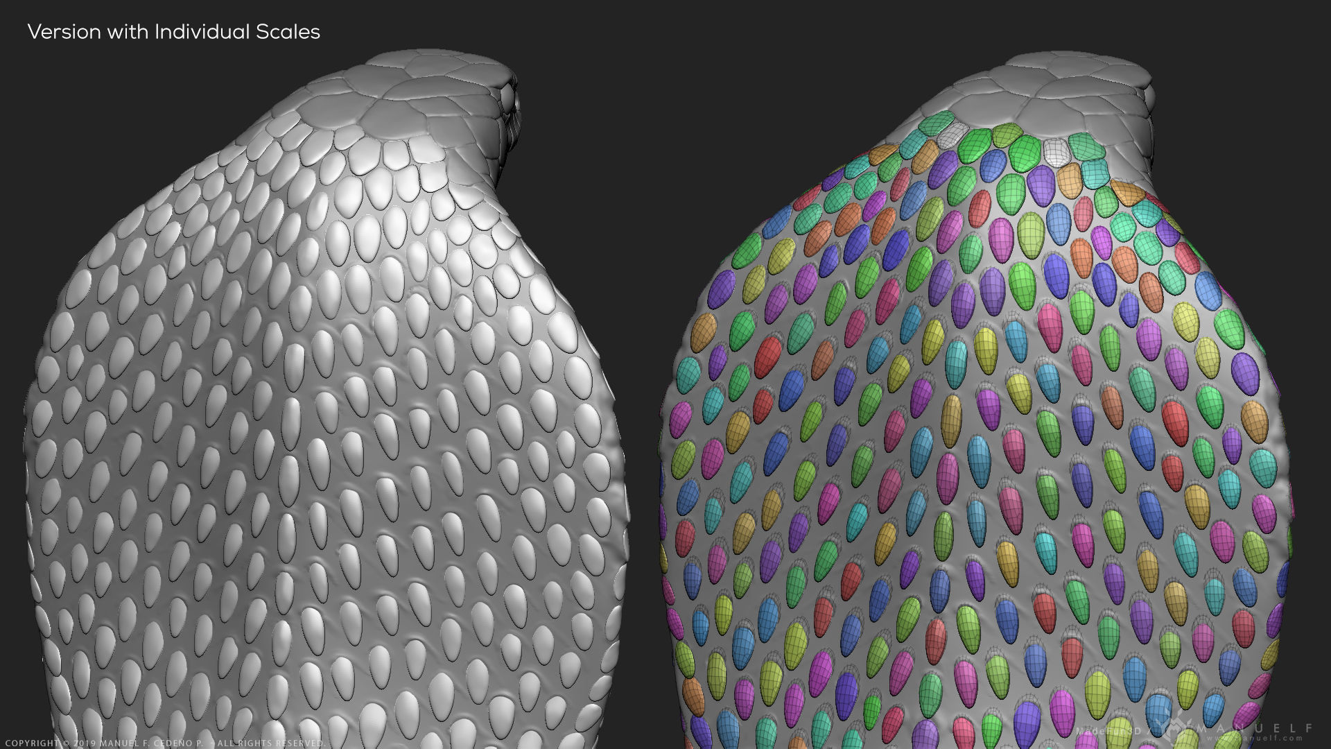 King Cobra Snake - Highpoly Sculpture 3D model_21