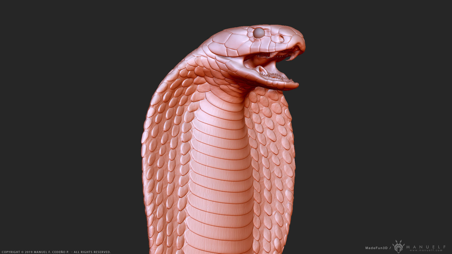King Cobra Snake - Highpoly Sculpture 3D model_33