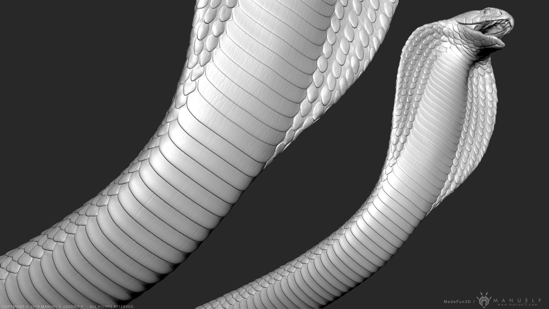 King Cobra Snake - Highpoly Sculpture 3D model_15