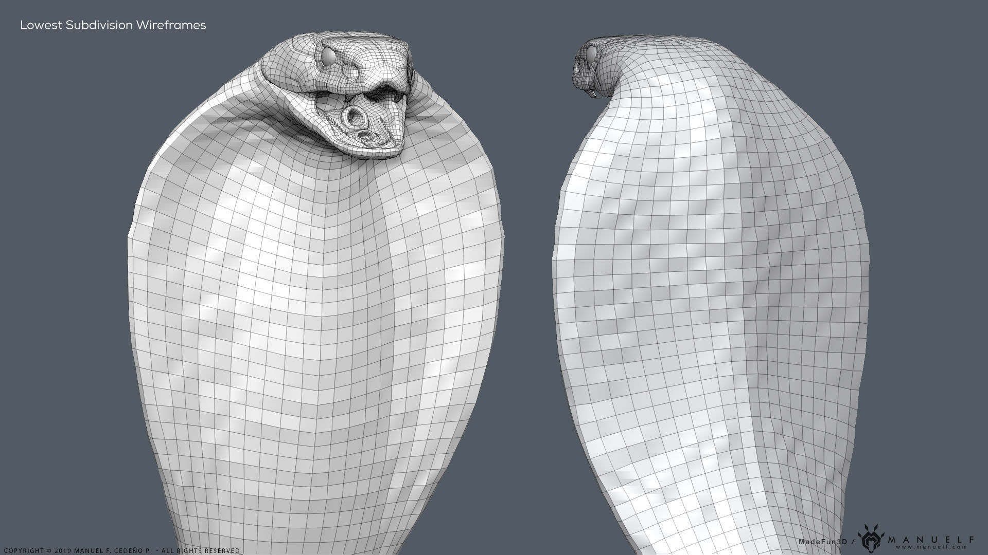 King Cobra Snake - Highpoly Sculpture 3D model_28