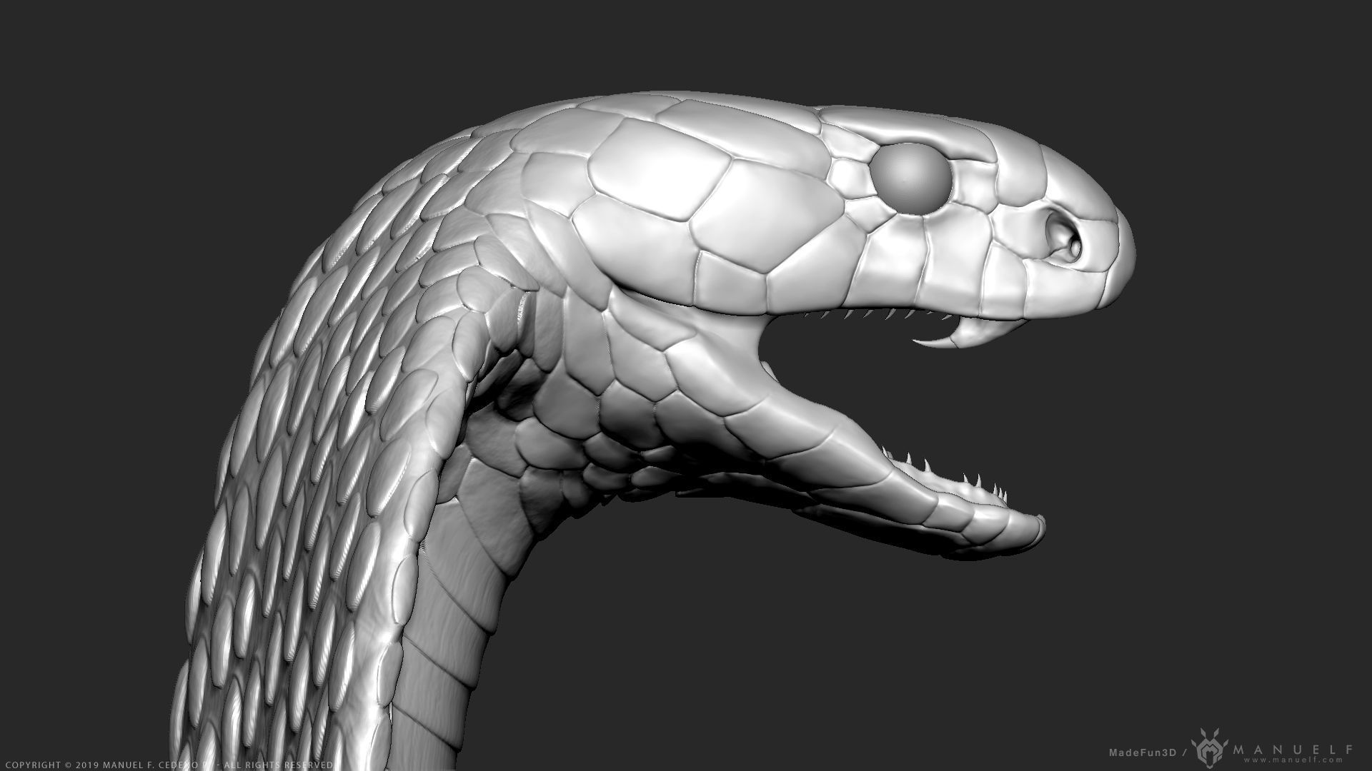 King Cobra Snake - Highpoly Sculpture 3D model_9