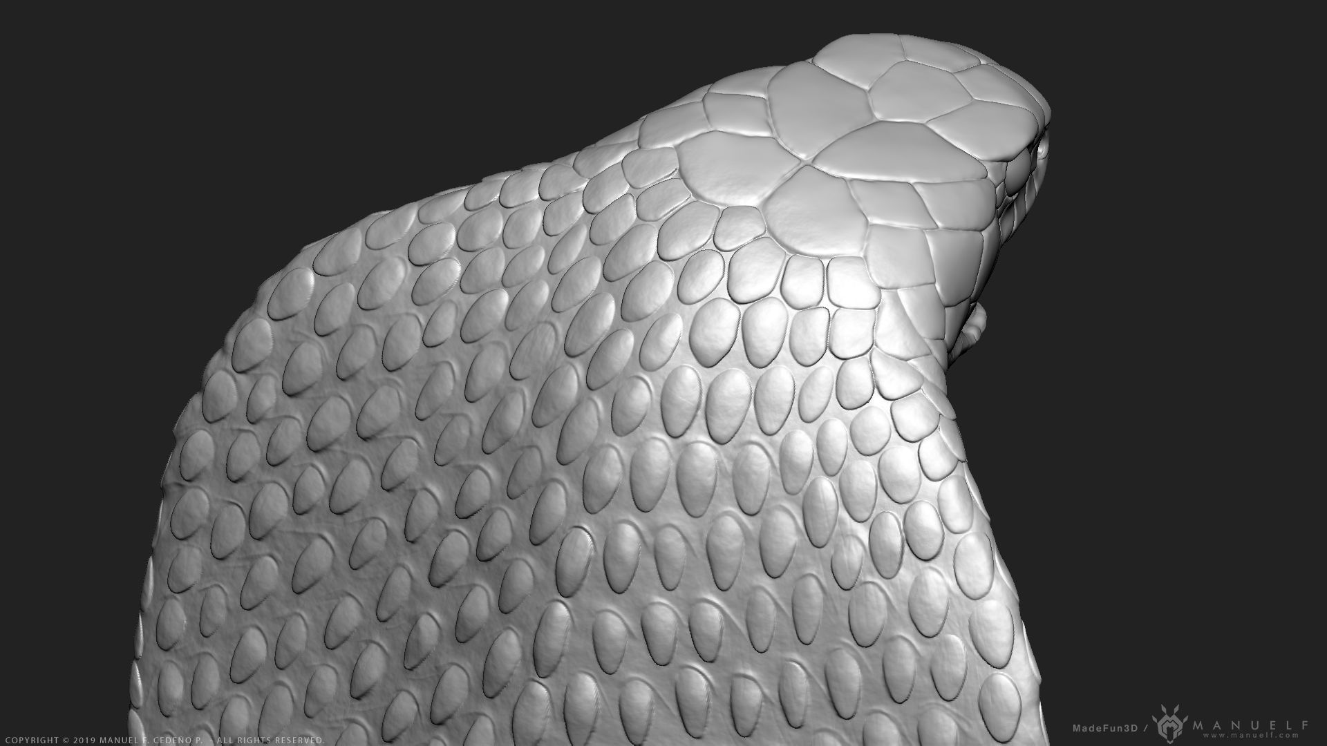 King Cobra Snake - Highpoly Sculpture 3D model_13