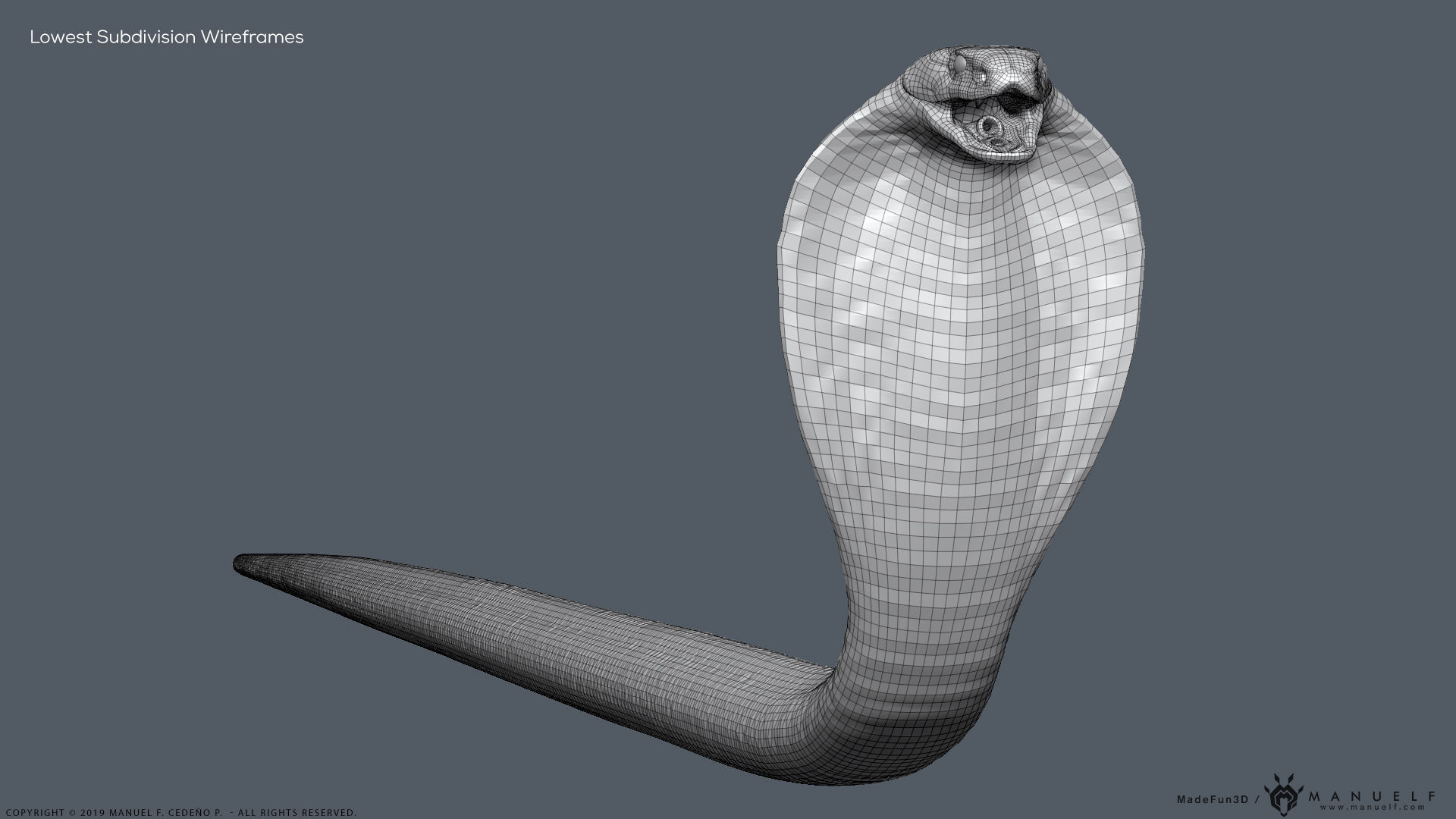 King Cobra Snake - Highpoly Sculpture 3D model_25