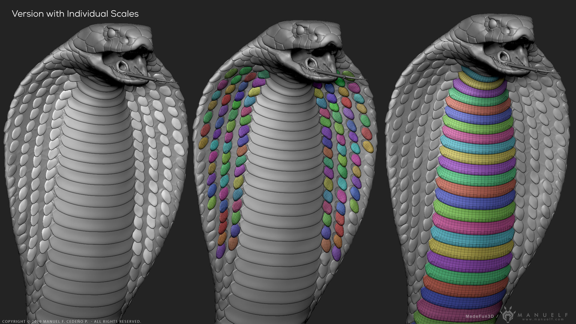 King Cobra Snake - Highpoly Sculpture 3D model_19