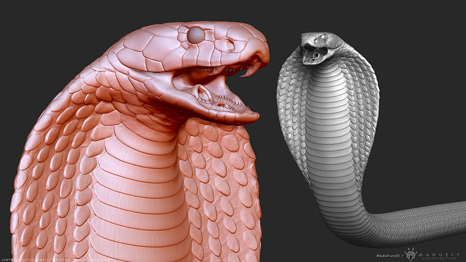 King Cobra Snake - Highpoly Sculpture 3D model