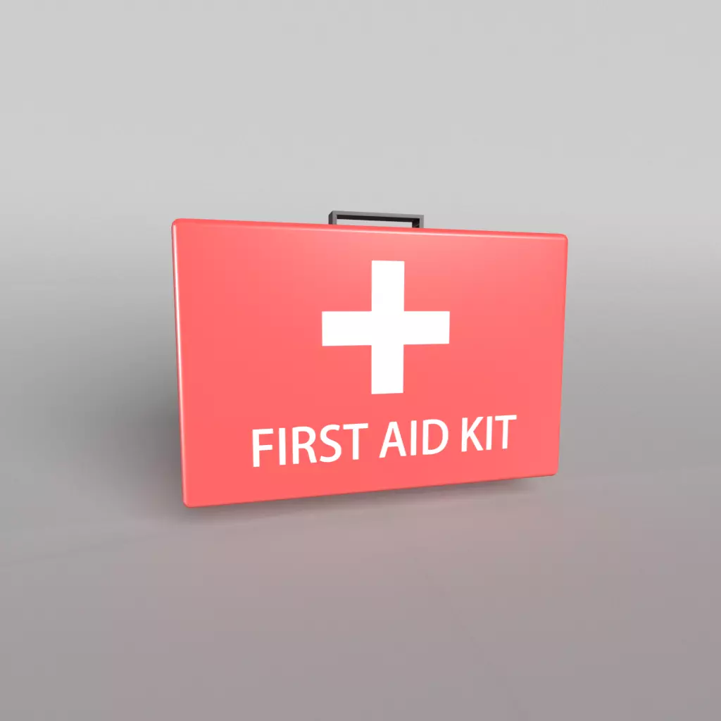 First Aid Kit 001 Free low-poly 3D model_0