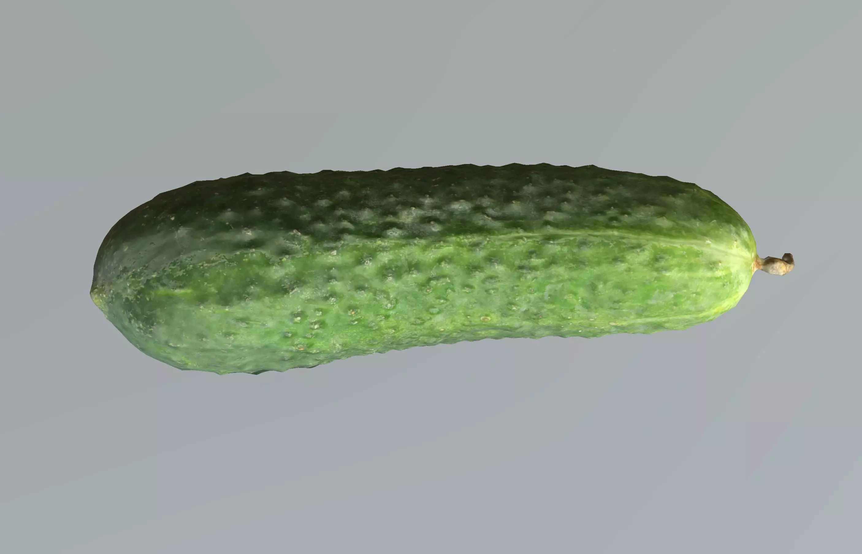 Cucumber 3D Scan Low-poly 3D model_0
