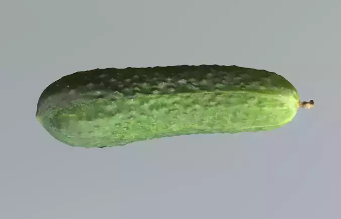Cucumber 3D Scan Low-poly 3D model