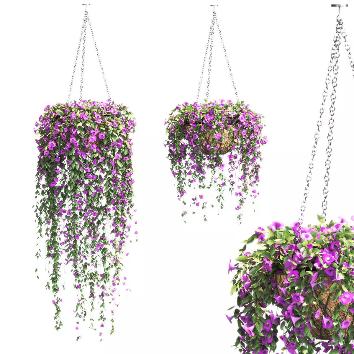 Petunias set in pots - 2 models 3D model_0