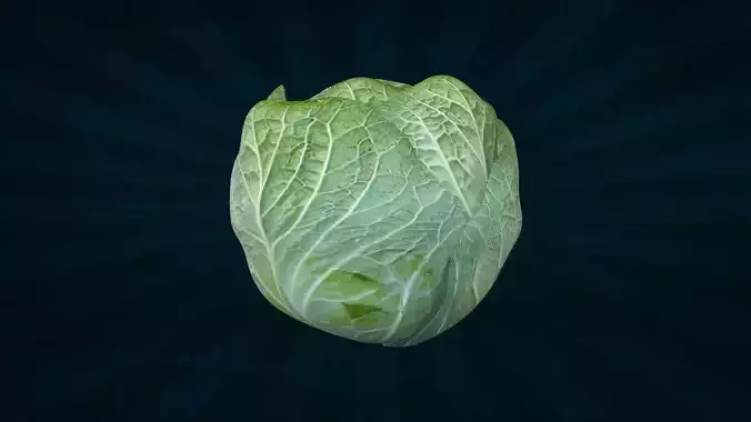 VEGE-001 Cabbage