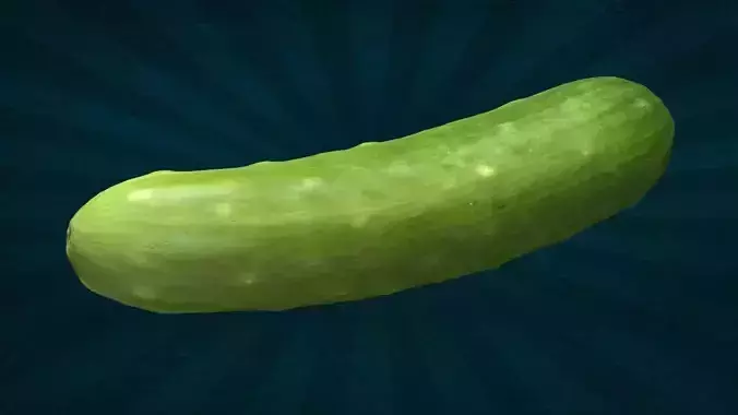 VEGE-005 Cucumber 3D model