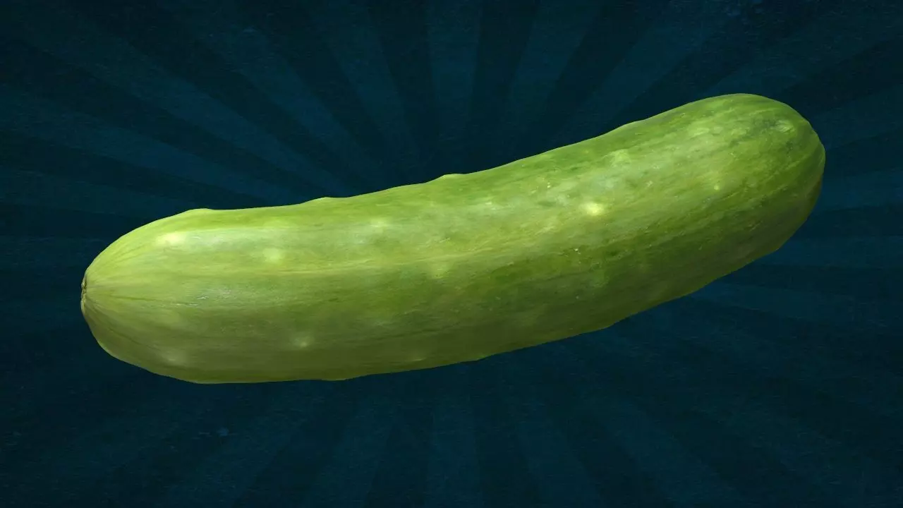 VEGE-005 Cucumber 3D model_0