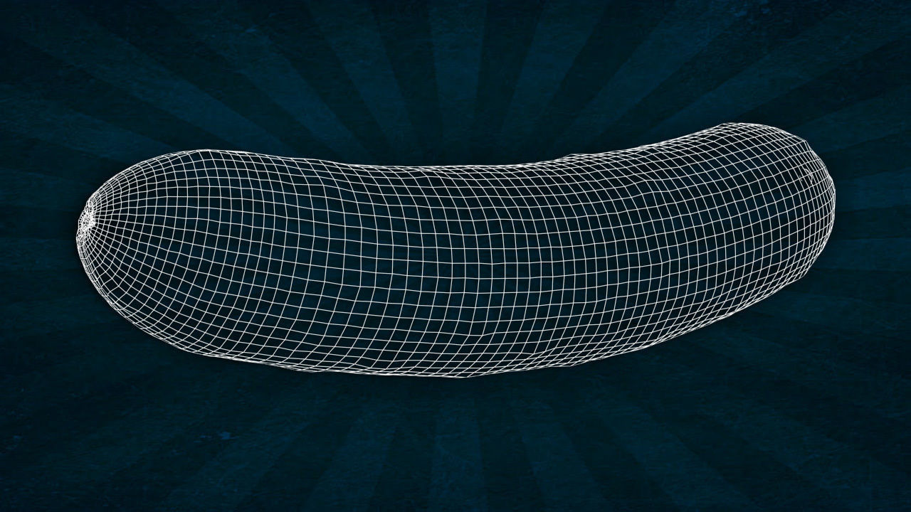 VEGE-005 Cucumber 3D model_4