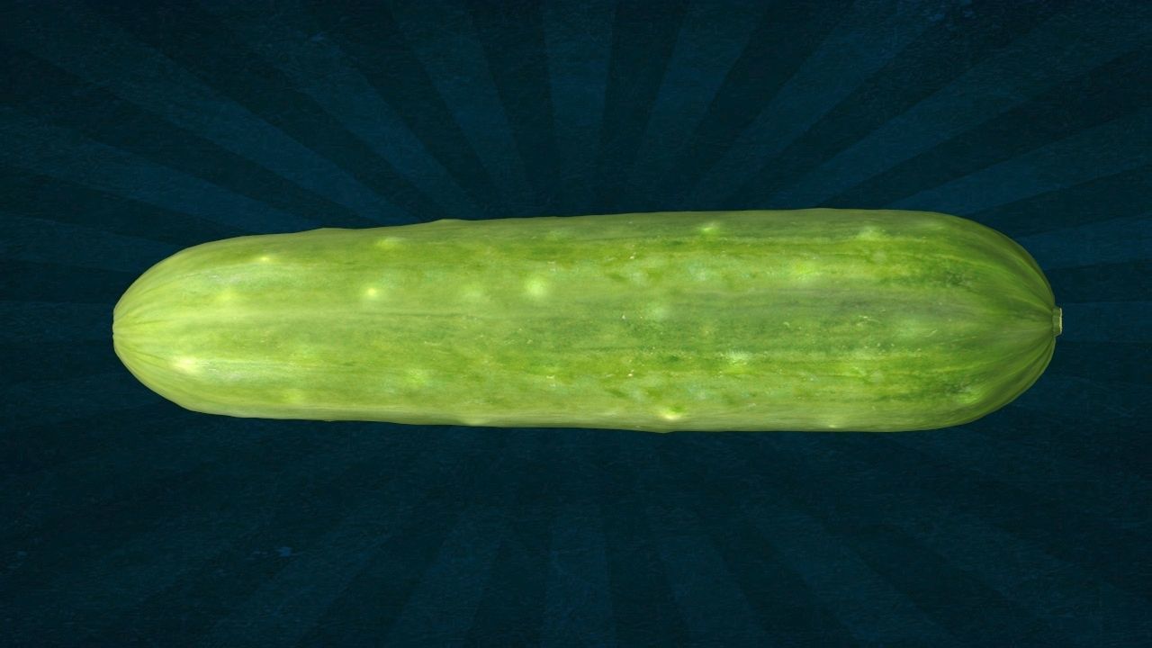 VEGE-005 Cucumber 3D model_2