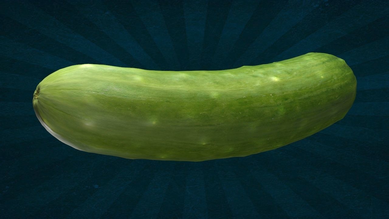VEGE-005 Cucumber 3D model_3