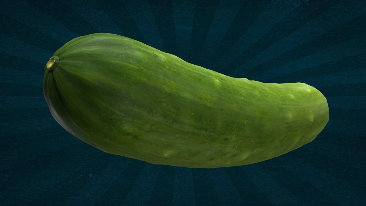 VEGE-005 Cucumber 3D model_1