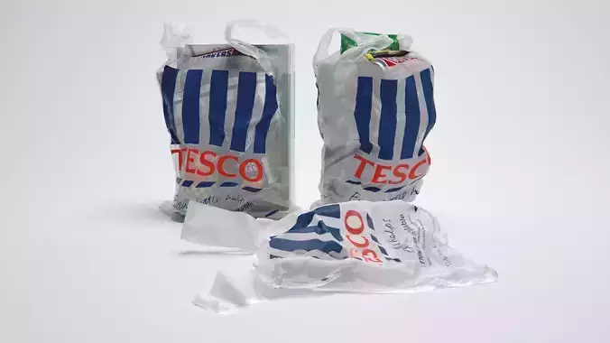 Shopping Grocery Bags 3D model