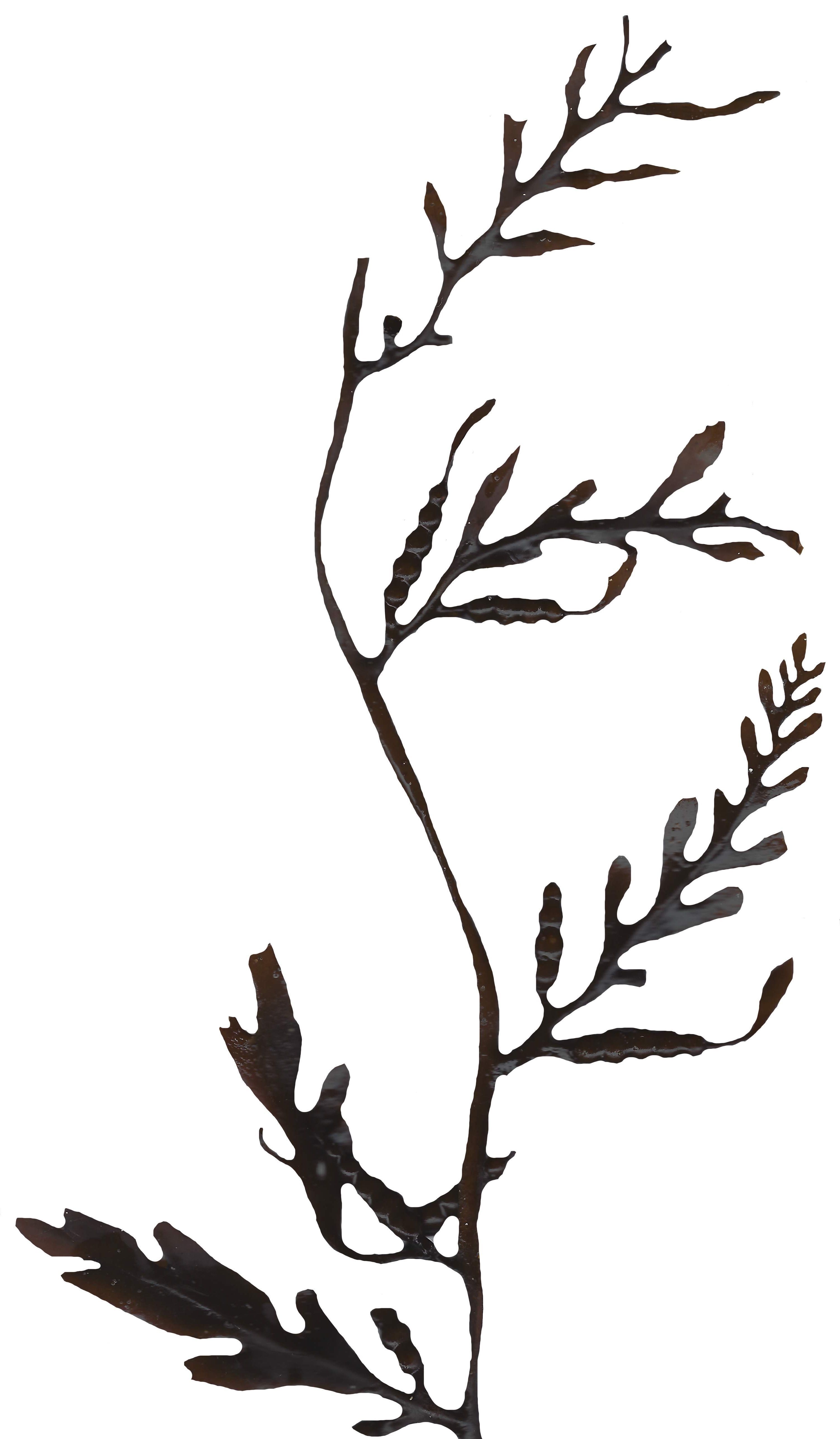 Red and Brown Algae Scanned Texture Pack - 37 Textures Texture_18