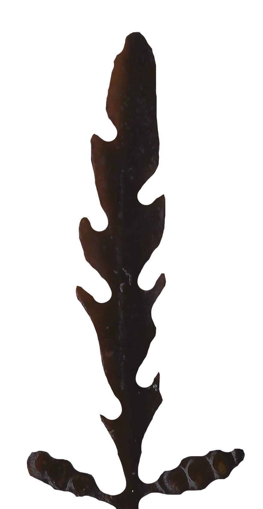 Red and Brown Algae Scanned Texture Pack - 37 Textures Texture_13