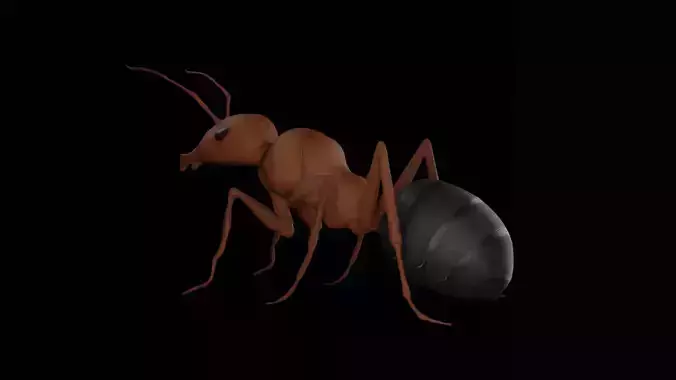 Realistic ant insect