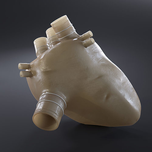 Artificial soft Heart Prototype Low-poly 3D model
