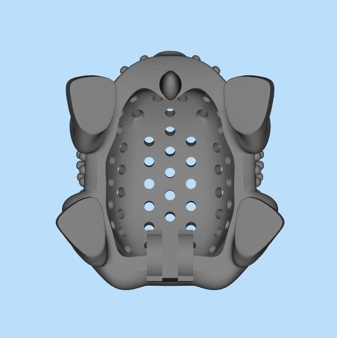 Women Earrings Frog with gems 3dm stl 3D print model 3D print model_39