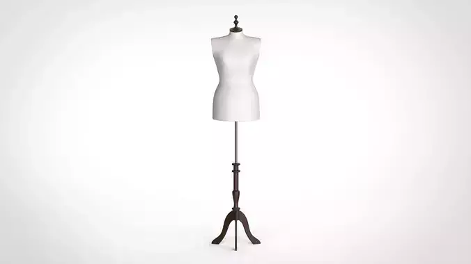 torso body for fashion