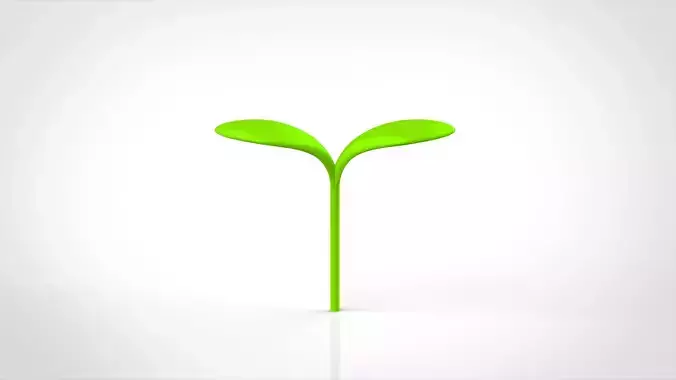sprout lamp with two leaves