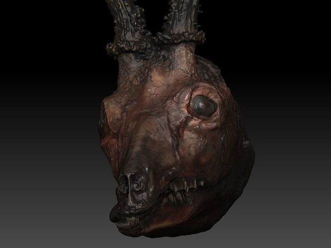 Skinned Deers Head High Detail Scan With Texture 3D model 3D model