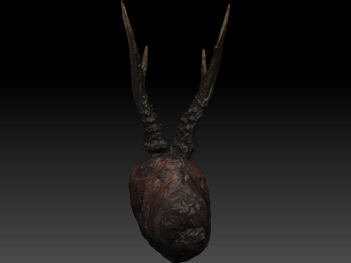 Skinned Deers Head High Detail Scan With Texture 3D model 3D model_8