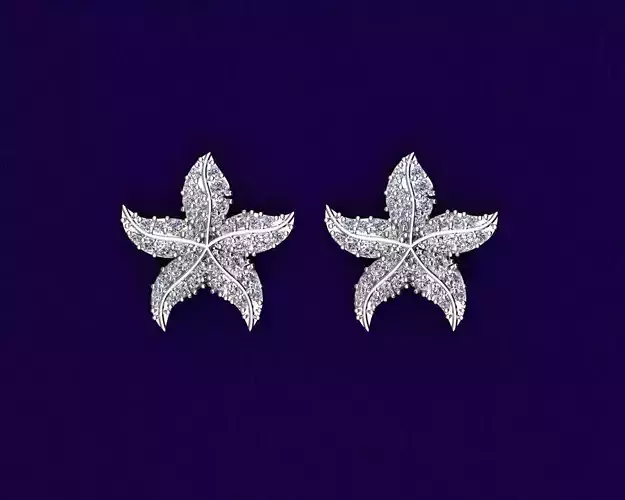 Fancy Sea Star Earrings