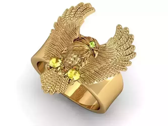 Ring eagle 3D print model