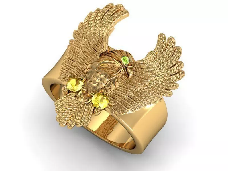Ring eagle 3D print model_0