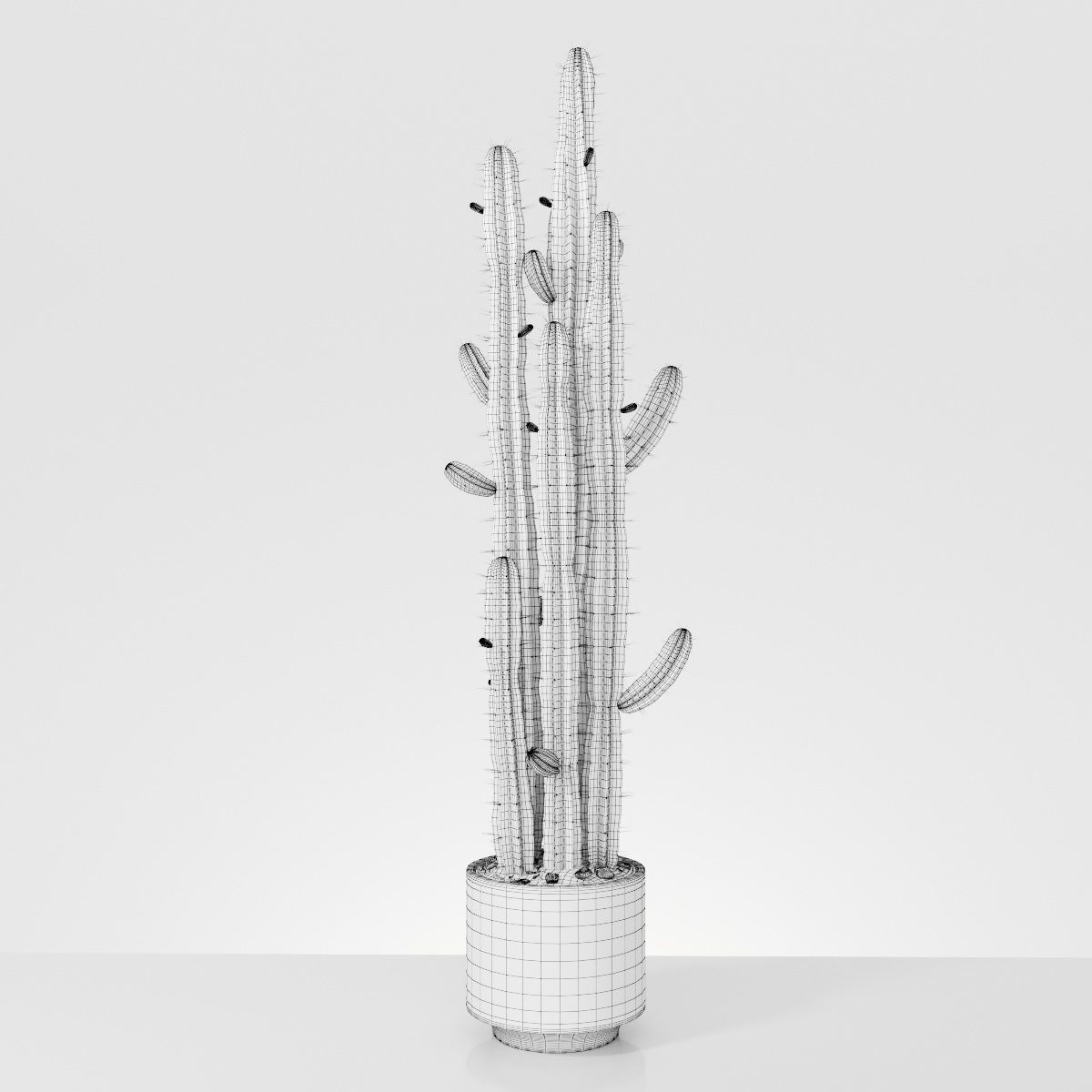 Plant 6 2 two cactus plants in pot 3D model_3