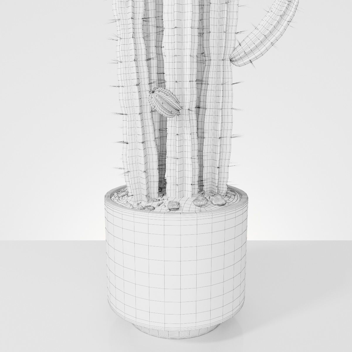 Plant 6 2 two cactus plants in pot 3D model_2