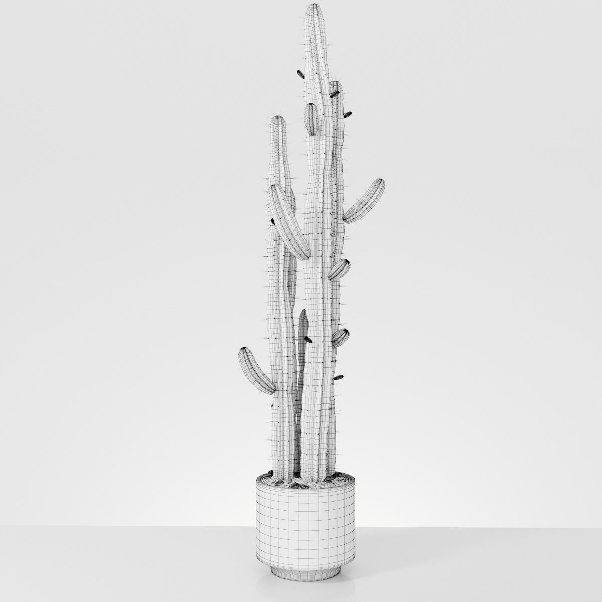 Plant 6 2 two cactus plants in pot 3D model_4