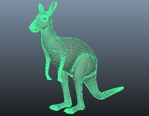 Kangaroo Rigged and Animated 3D model_9