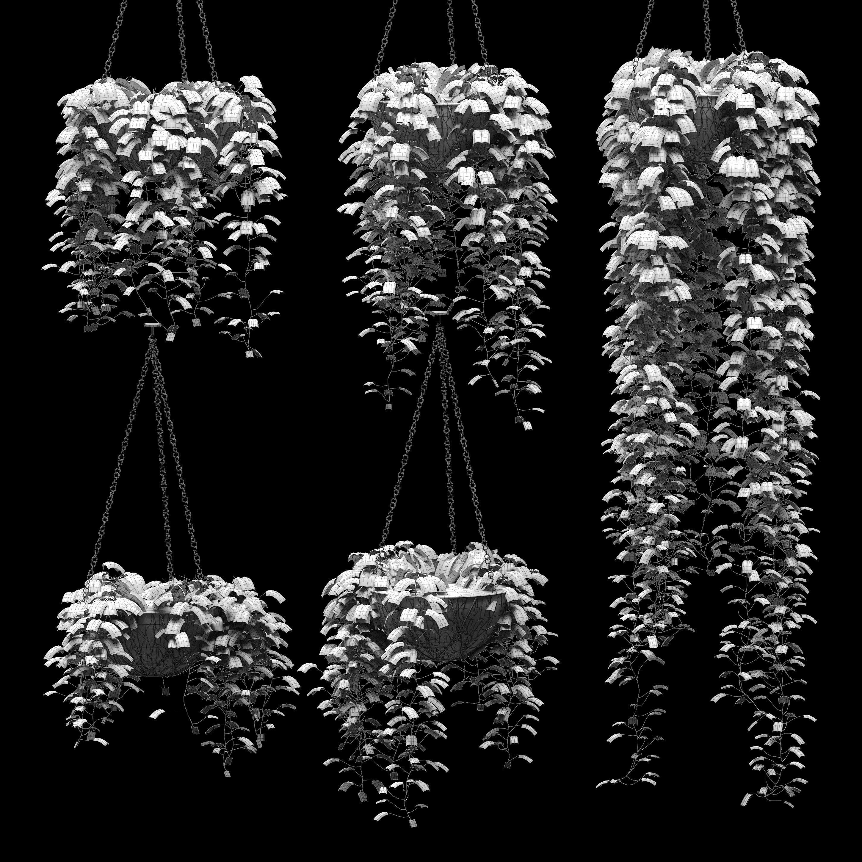 Hanging ivy in pots - 5 models 3D model_2