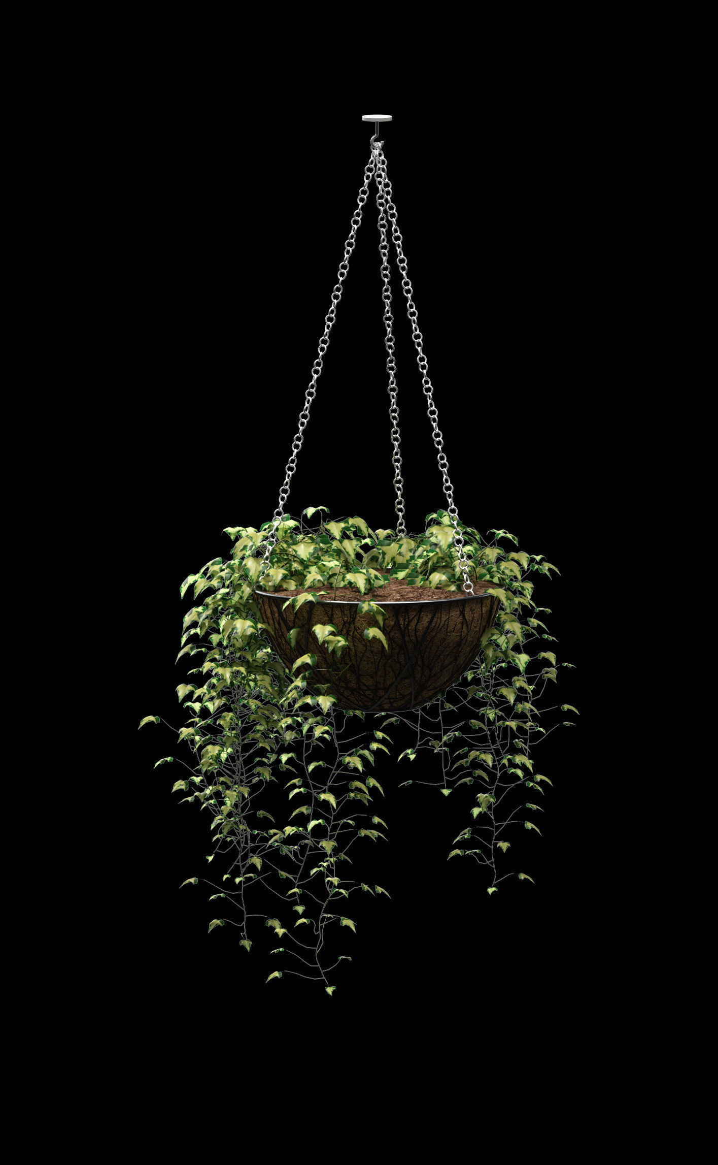 Hanging ivy in pots - 5 models 3D model_4