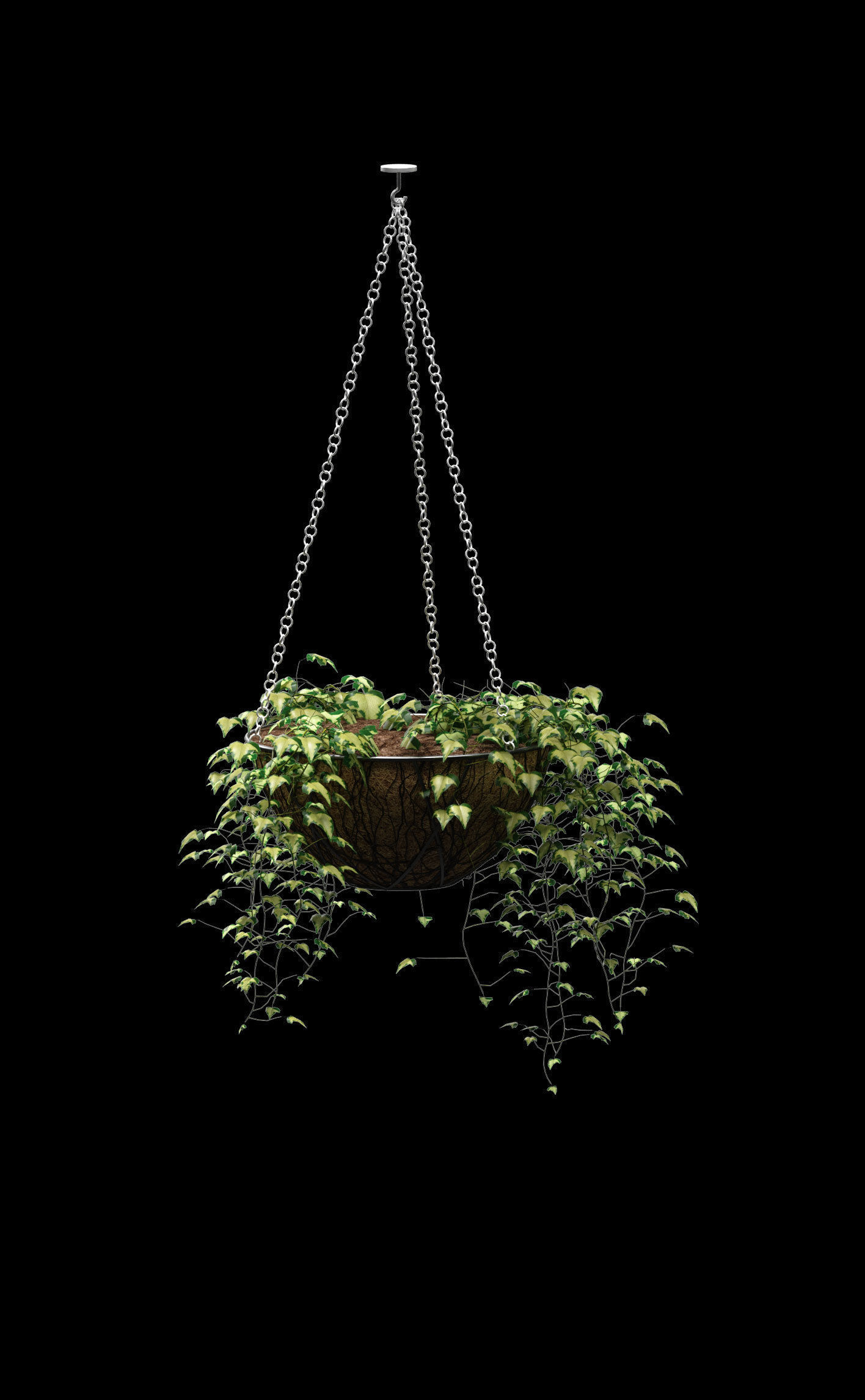 Hanging ivy in pots - 5 models 3D model_5