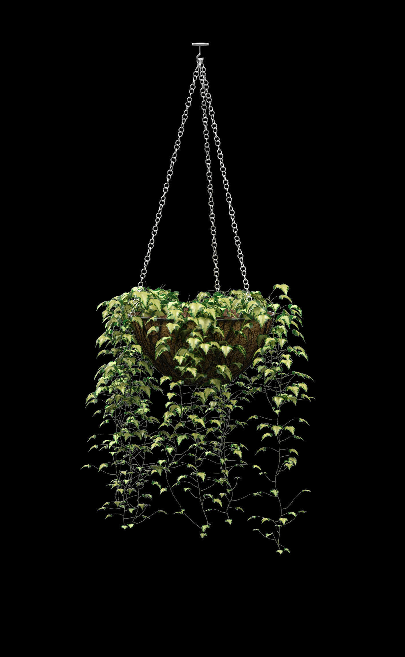 Hanging ivy in pots - 5 models 3D model_7