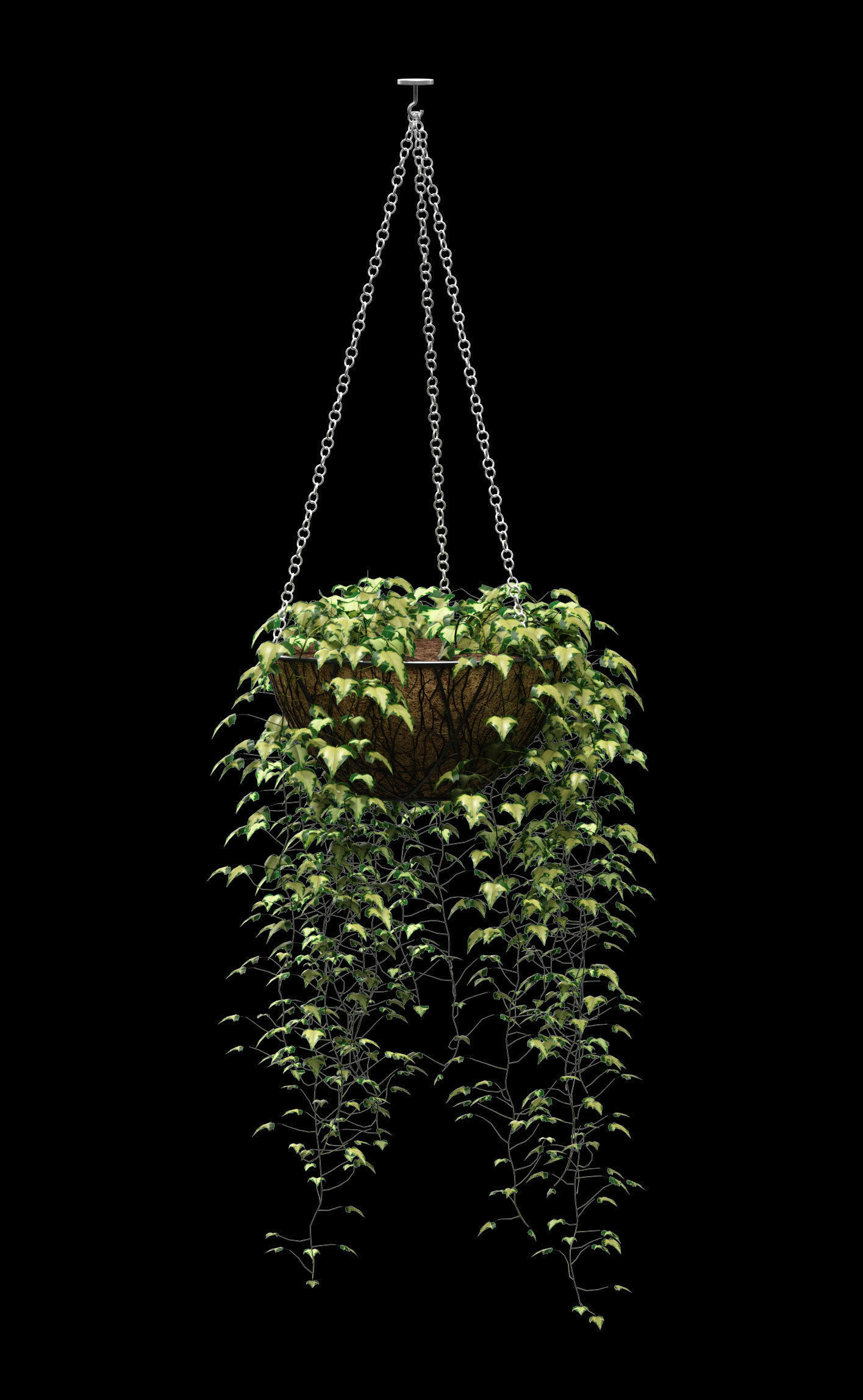 Hanging ivy in pots - 5 models 3D model_6