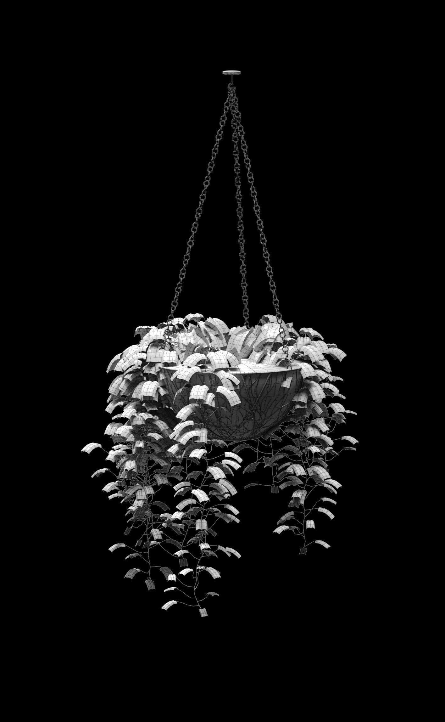 Hanging ivy in pots - 5 models 3D model_13